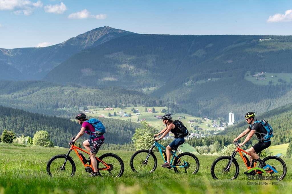 Cyklista na horském kole na lesní stezce